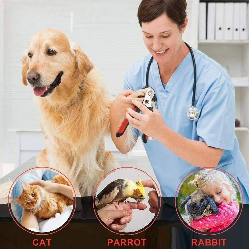 Cortaúñas para mascotas, cortaúñas de acero inoxidable para perros y gatos, artículos de limpieza de belleza, cortaúñas, suministros para mascotas, suministros transfronterizos - Image 4