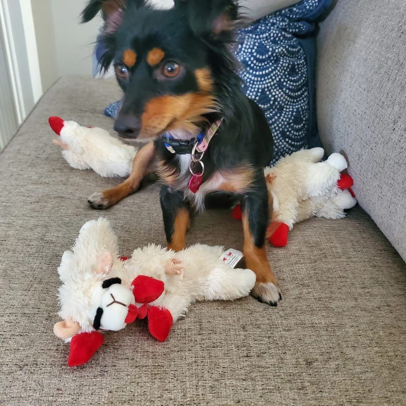 O1CN01O1WFL62Mb4KBHCIBg_!!2219520929845-0-cib.jpg Juguete multipet Cordero tumbado perro oveja peluche que acompaña sonido juguete para mascota perro Mengyang