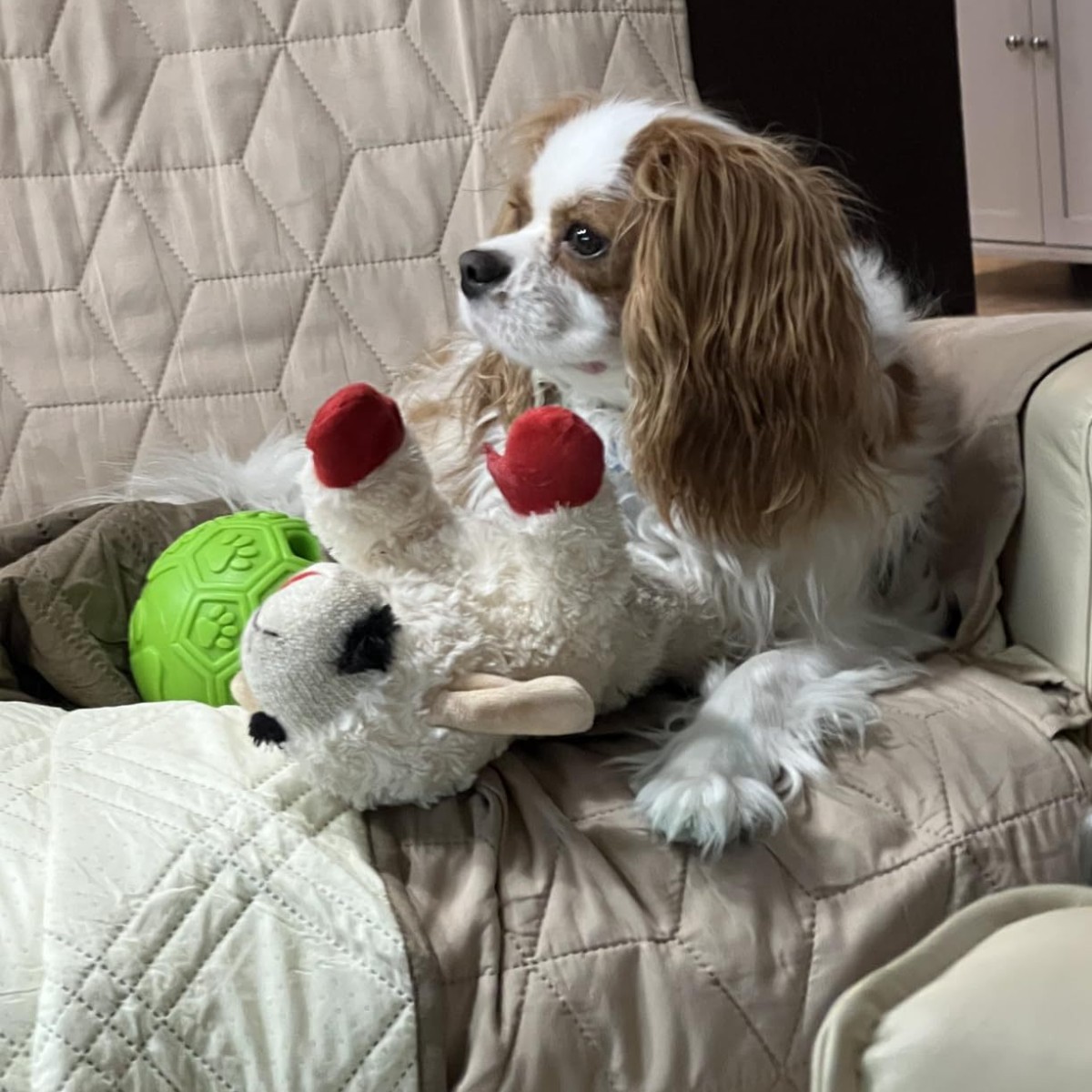 Juguete multipet Cordero tumbado perro oveja peluche que acompaña sonido juguete para mascota perro Mengyang - Image 3