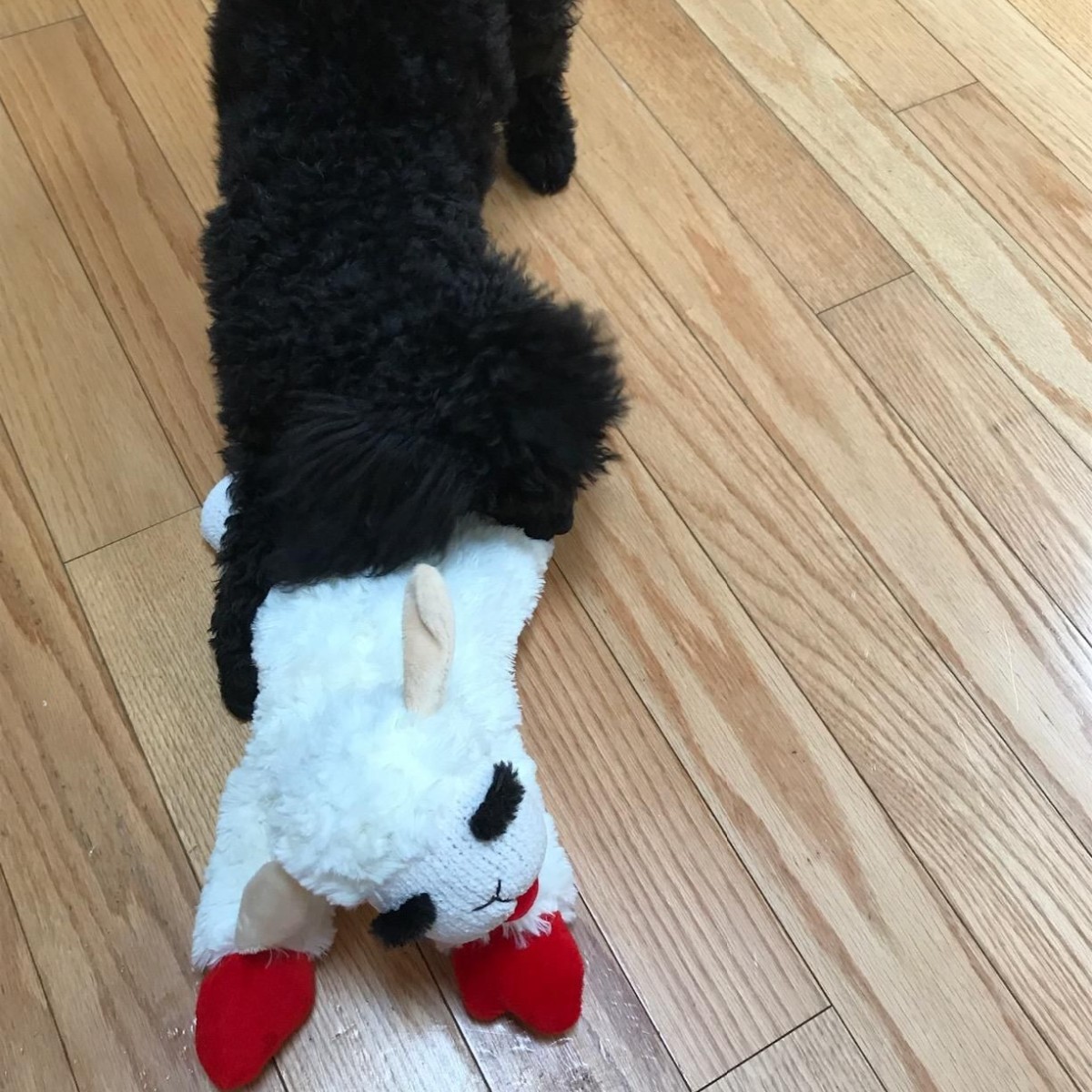 Juguete multipet Cordero tumbado perro oveja peluche que acompaña sonido juguete para mascota perro Mengyang - Image 2